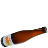 Weingut Schatzel AURA Riesling Kombucha 0.33L (non-alcoholic)