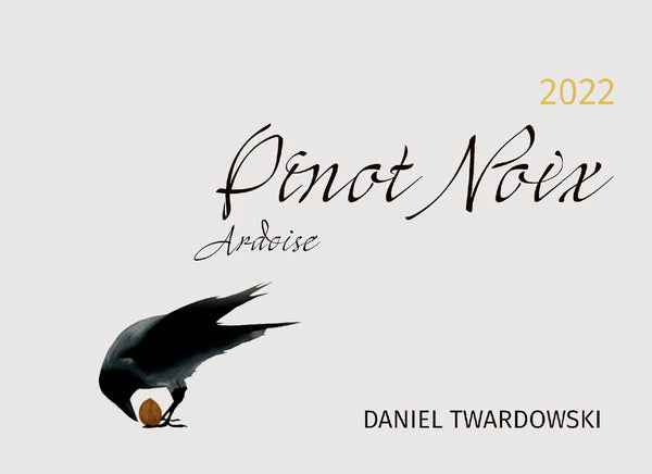 2022 Daniel Twardowski Ardoise Pinot Noix, Mosel, Germany